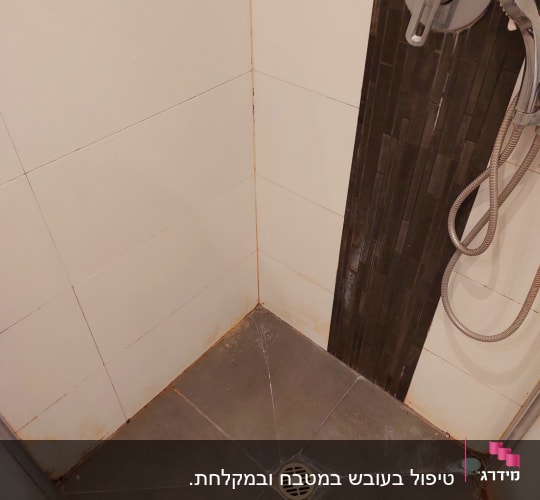 פינות מקלחת עם איטום רובה בין האריחים